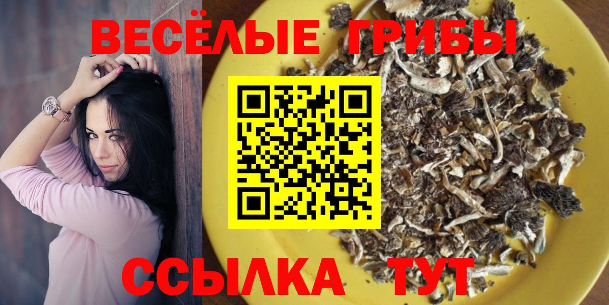 Медногорск  Псилоцибиновые грибы ЛСД  Вход с VPN 