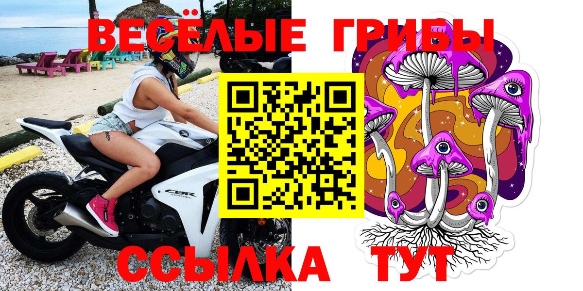 Галлюциногенные грибы Psilocybe Медногорск